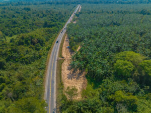 Descapote Puente Vizcaina