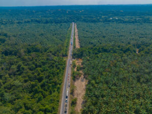 Descapote Puente Vizcaina