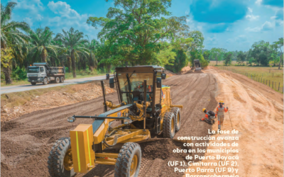 Boletín informativo N° 7