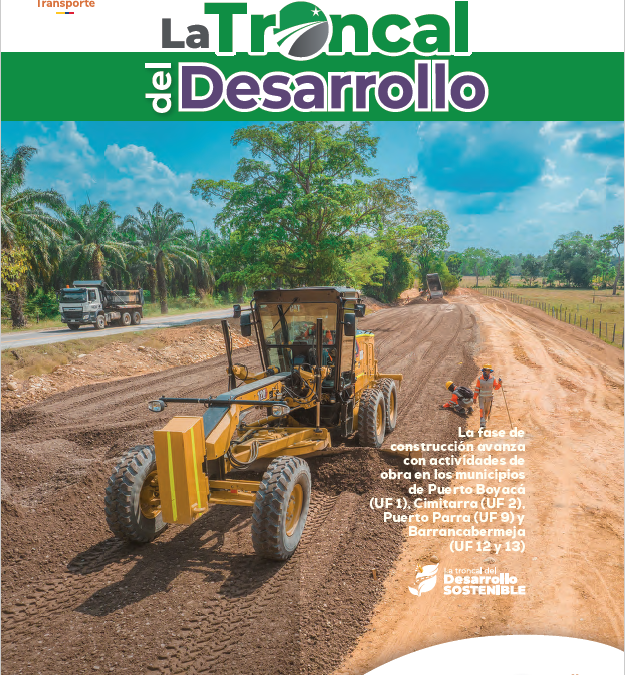 Boletín informativo N° 7