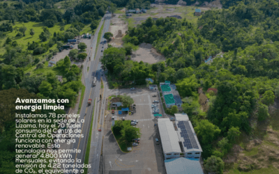 Boletín informativo N° 8