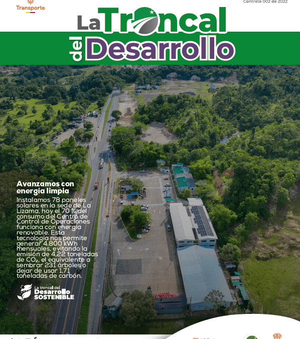 Boletín informativo N° 8