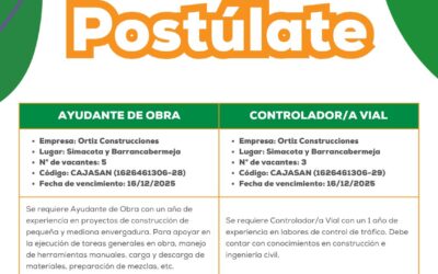 Ayudante de obra / Controlador vial